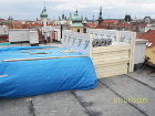Stechy PRAKTA PRAHA.
