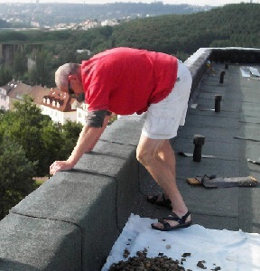 Ploch stechy Prakta Praha